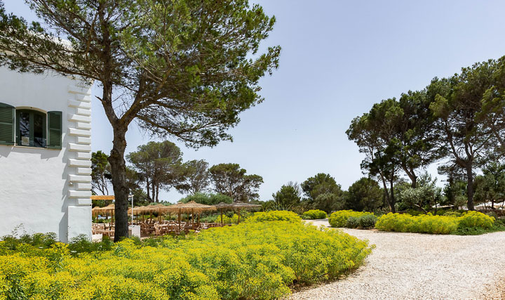 Opus Paysage-Paysagiste-Aménagement paysager d'un jardin méditerranéen-Jardin - photo 3