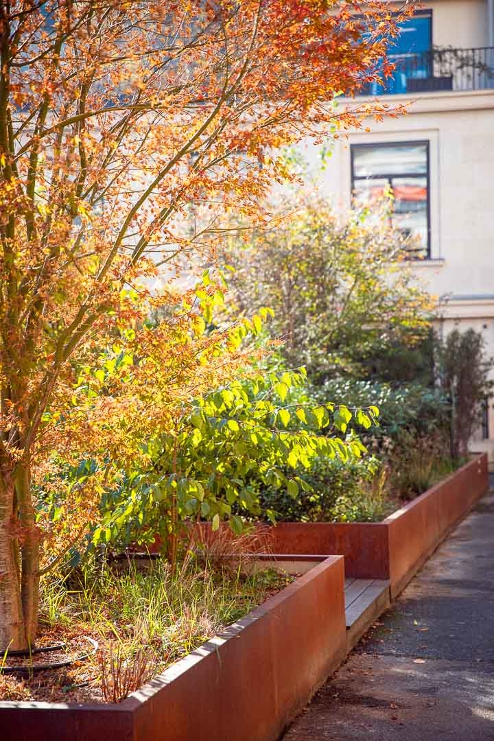 Opus Paysage-Paysagiste-Aménagement d'un jardin en terrasse d'immeuble-Terrasse - photo 1