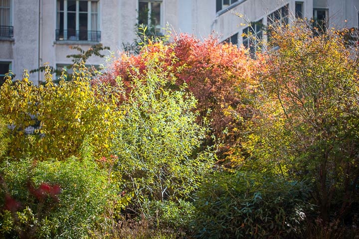 Opus Paysage-Paysagiste-Aménagement d'un jardin en terrasse d'immeuble-Terrasse - photo 3