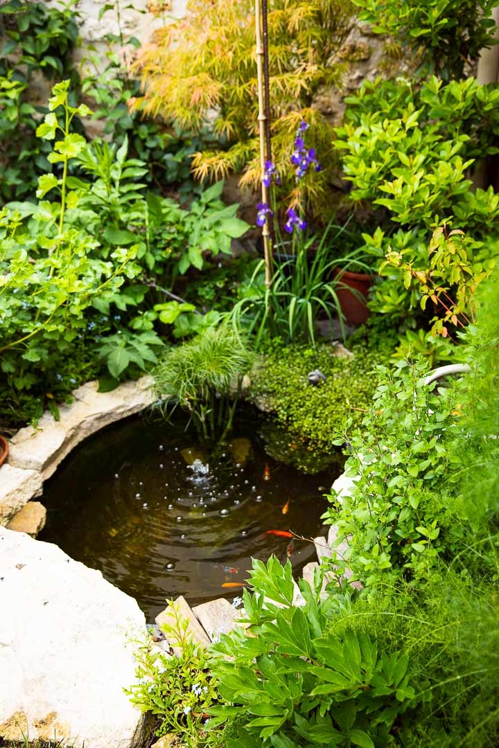 Opus Paysage-Paysagiste-Amenagement d'un petit jardin en ville-Jardin - photo 2
