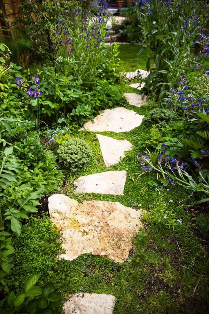 Opus Paysage-Paysagiste-Amenagement d'un petit jardin en ville-Jardin - photo 3