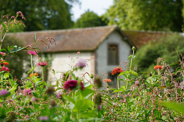 Opus Paysage-Paysagiste-Renaissance d'un parc paysager-Jardin - photo 4