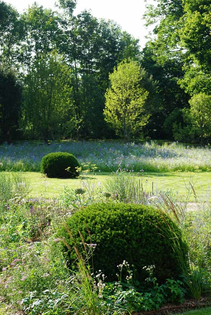 Opus Paysage-Paysagiste-Renaissance d'un parc paysager-Jardin - photo 3