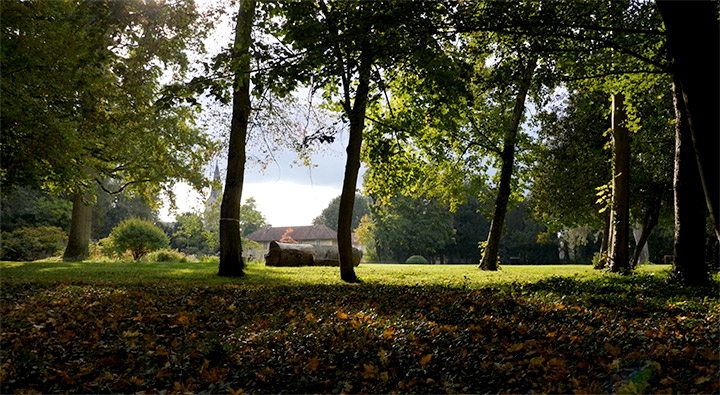 Opus Paysage-Paysagiste-Renaissance d'un parc paysager-Jardin - photo 1