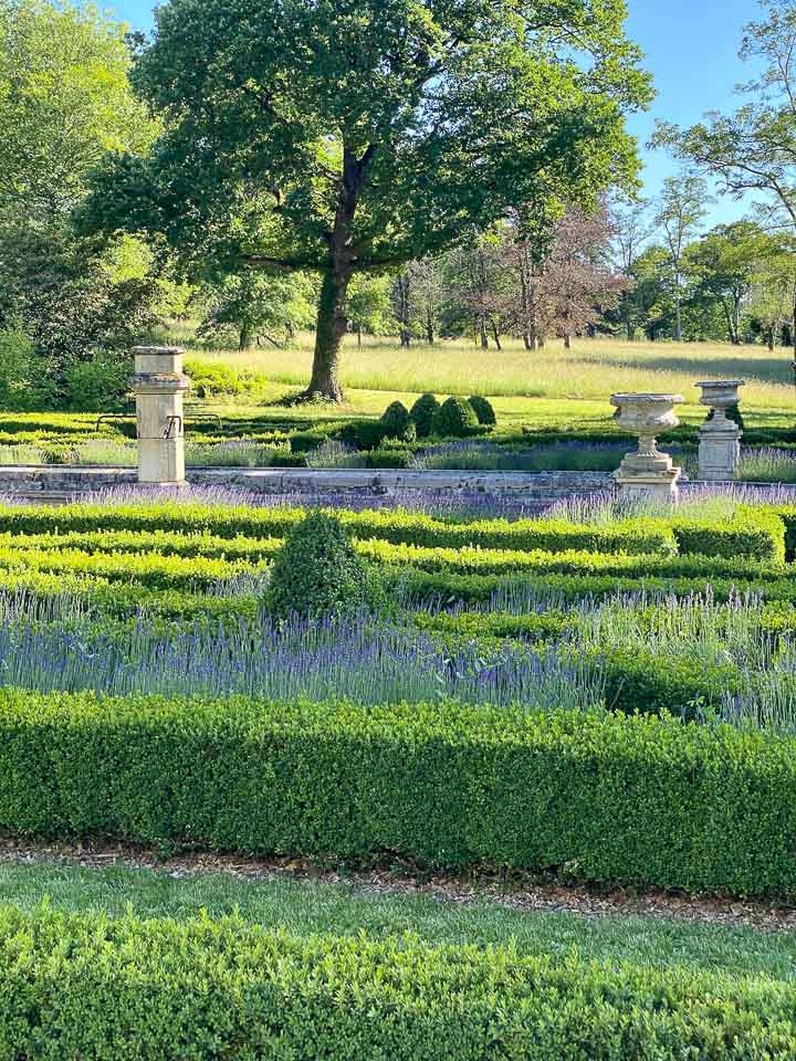 Jardins Intemporels-Paysagiste-Amenagement d'un grand jardin à la française-Jardin - photo 2