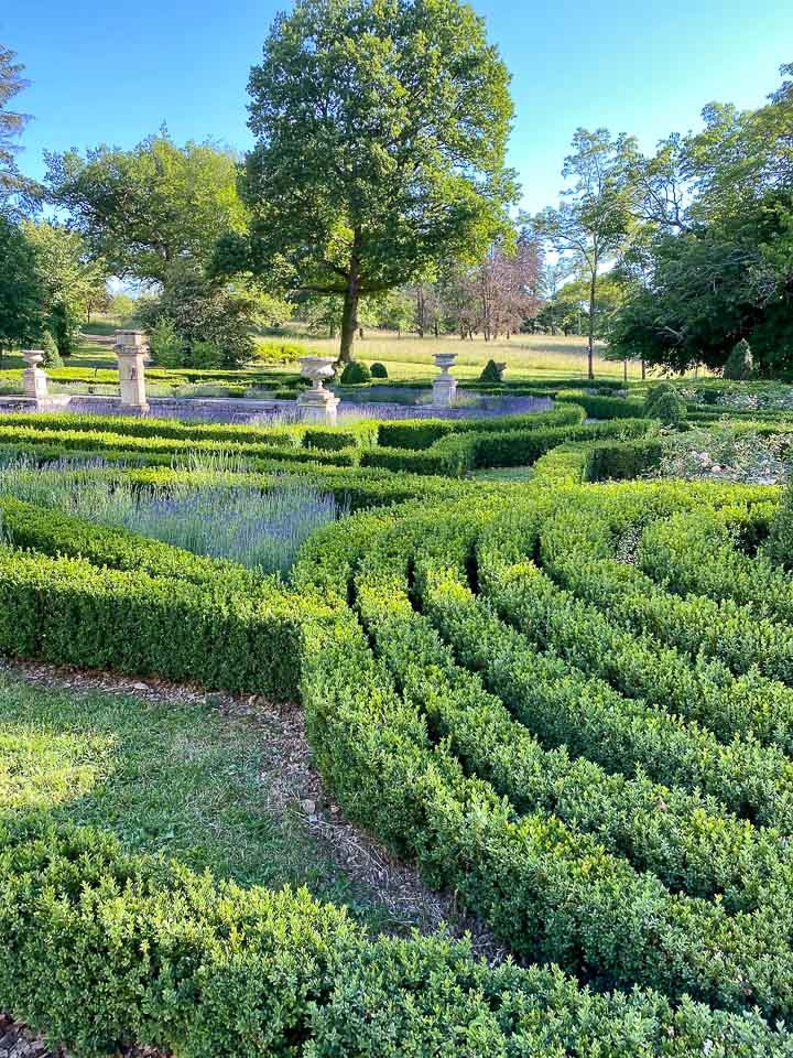 Jardins Intemporels-Paysagiste-Amenagement d'un grand jardin à la française-Jardin - photo 3