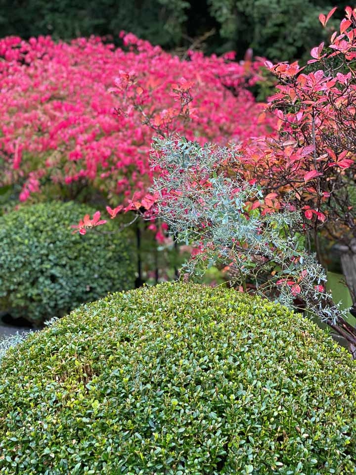 Jardins Intemporels-Paysagiste-Le showroom de la paysagiste en Seine et Marne-Jardin - photo 2