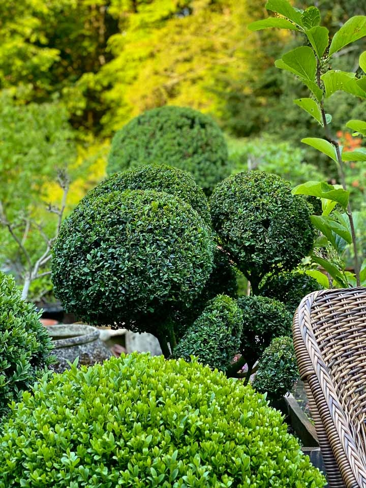 Jardins Intemporels-Paysagiste-Le showroom de la paysagiste en Seine et Marne-Jardin - photo 1