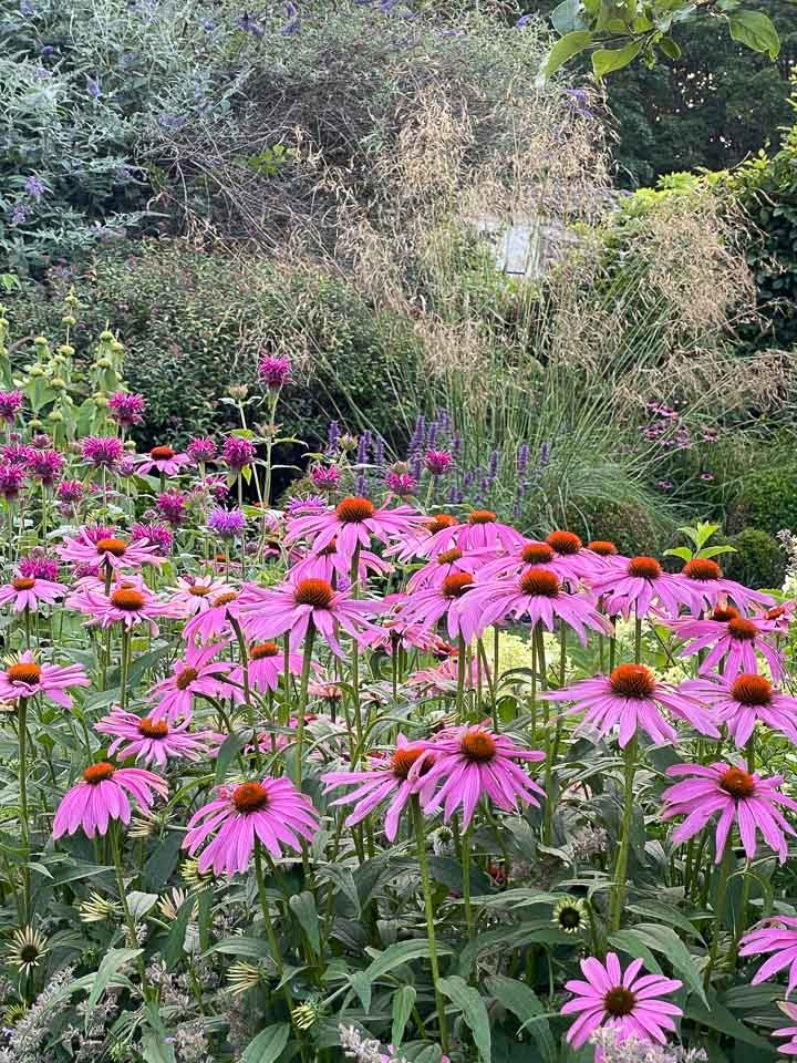 Jardins Intemporels-Paysagiste-Le showroom de la paysagiste en Seine et Marne-Jardin - photo 4