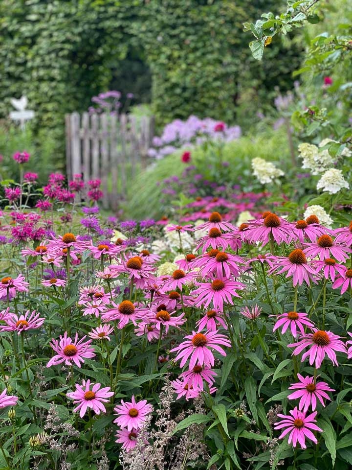 Jardins Intemporels-Paysagiste-Le showroom de la paysagiste en Seine et Marne-Jardin - photo 4