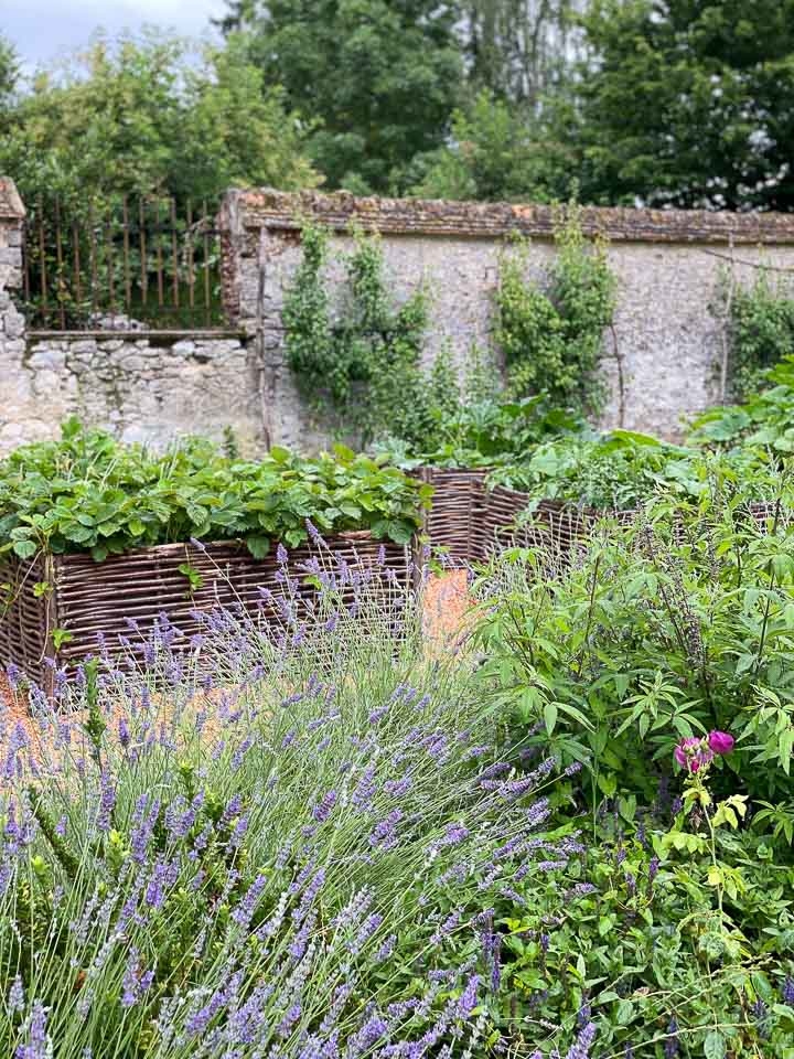 Jardins Intemporels-Paysagiste-Un jardin méditerranéen contemporain-Jardin - photo 3