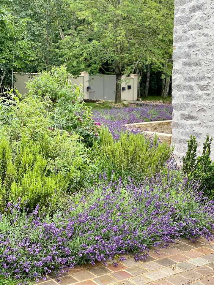 Jardins Intemporels-Paysagiste-Un jardin méditerranéen contemporain-Jardin - photo 2