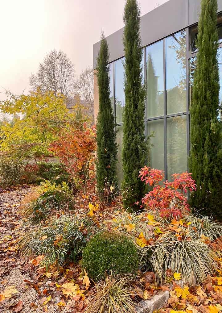 Jardins Intemporels-Paysagiste-Un jardin de ville contemporain-Jardin - photo 2