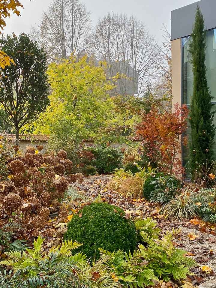 Jardins Intemporels-Paysagiste-Un jardin de ville contemporain-Jardin - photo 1