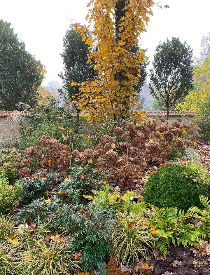 Jardins Intemporels-Paysagiste-Un jardin de ville contemporain-Jardin - photo 3