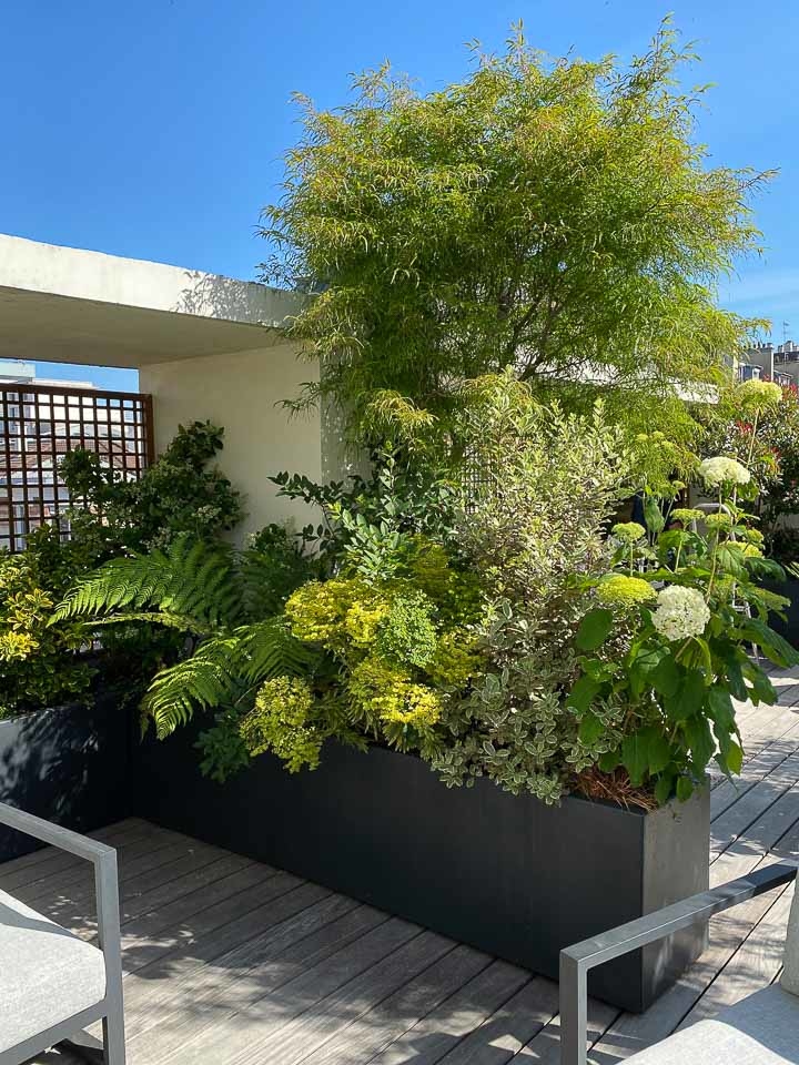 Jardins Intemporels-Paysagiste-Un jardin terrasse à Paris-Terrasse - photo 3