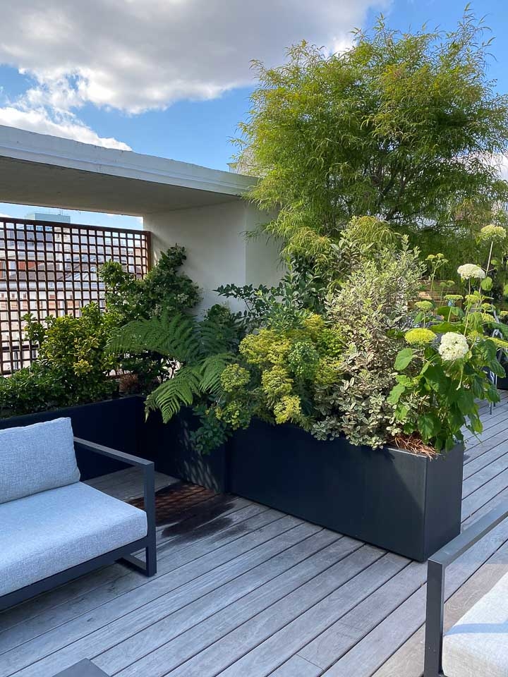 Jardins Intemporels-Paysagiste-Un jardin terrasse à Paris-Terrasse - photo 2