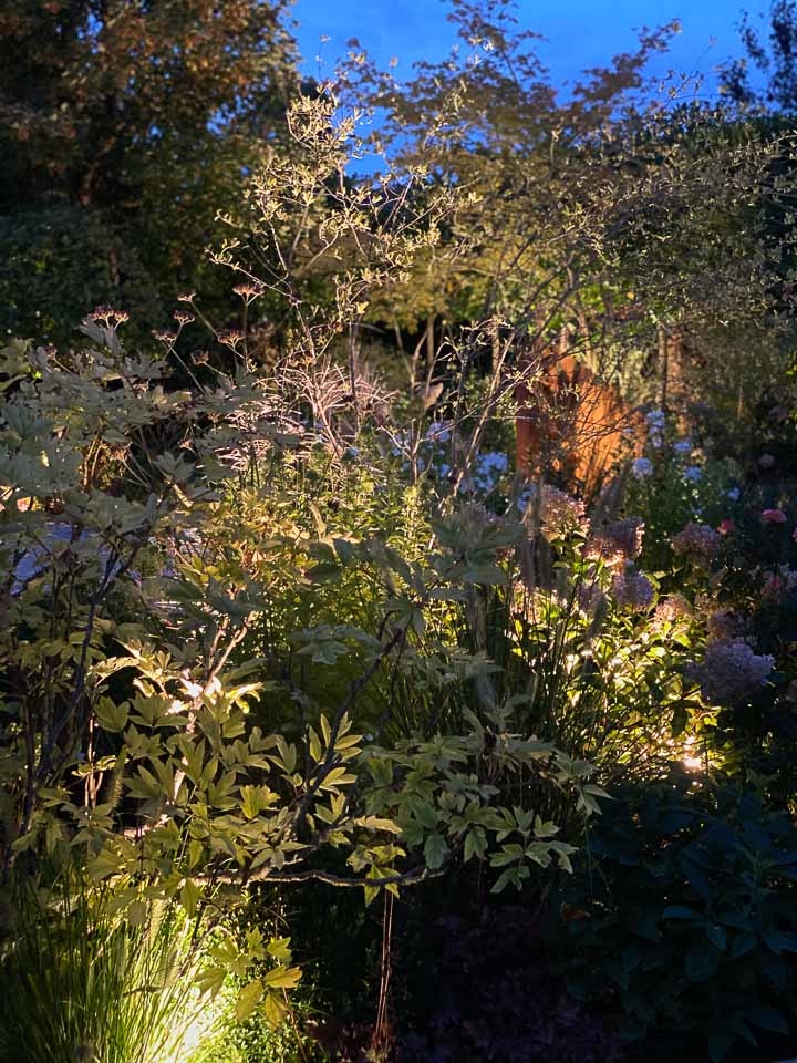 Jardins Intemporels-Paysagiste-Un jardin la nuit-0 - photo 2