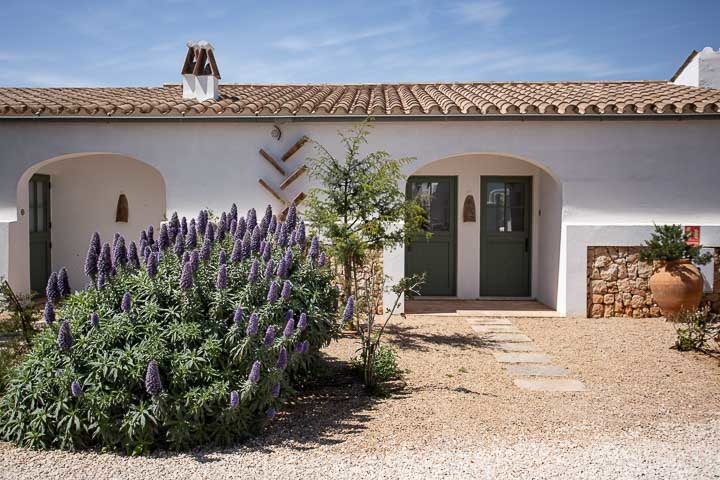 Opus Paysage-Paysagiste-Aménagement paysager d'un jardin méditerranéen-Extérieur Maison - photo 2