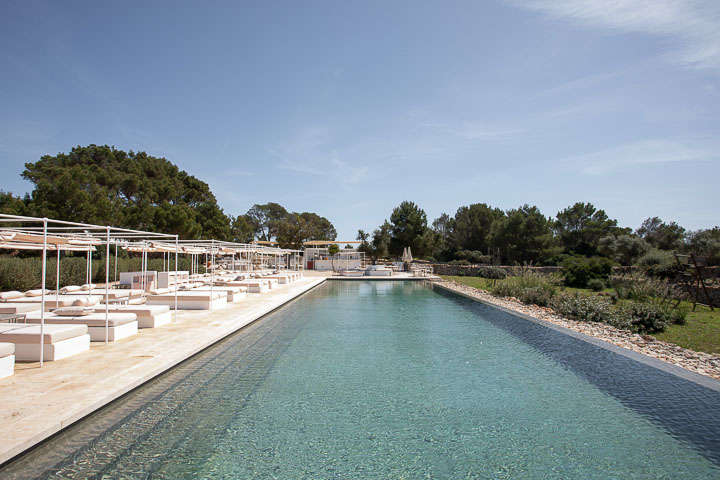 Opus Paysage-Paysagiste-Aménagement paysager d'un jardin méditerranéen-Piscine - photo 3