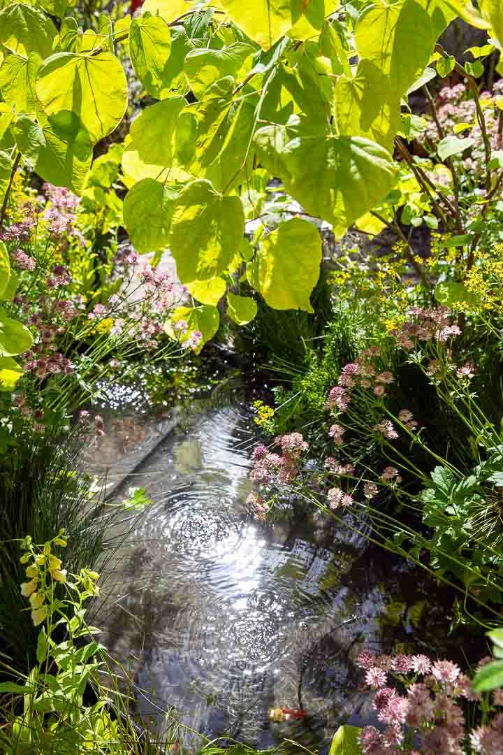 Opus Paysage-Paysagiste-Jardin événementiel : Salon Jardins, Jardin 2022-Jardin - photo 1