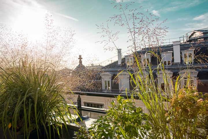 Opus Paysage-Paysagiste-Conception paysagère des terrasses du siège de Guerlain à Paris-Terrasse - photo 4