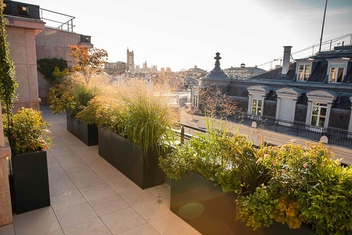 Opus Paysage-Paysagiste-Conception paysagère des terrasses du siège de Guerlain à Paris-Terrasse - photo 1