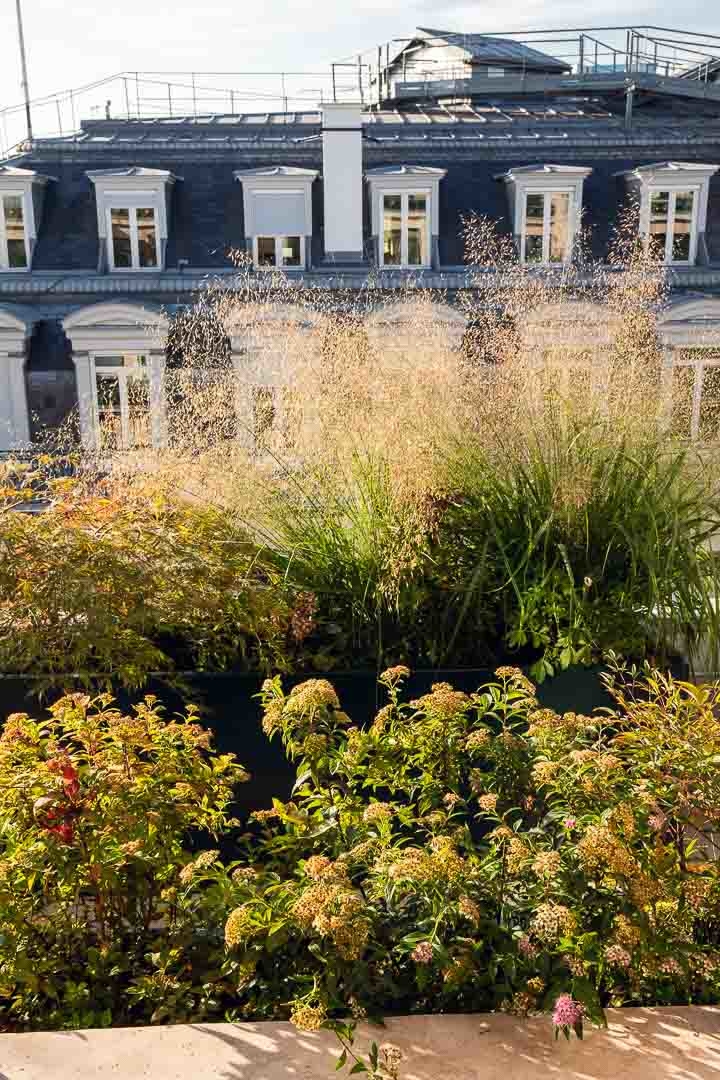 Opus Paysage-Paysagiste-Conception paysagère des terrasses du siège de Guerlain à Paris-Terrasse - photo 3