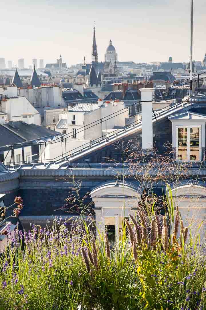Opus Paysage-Paysagiste-Conception paysagère des terrasses du siège de Guerlain à Paris-Terrasse - photo 1