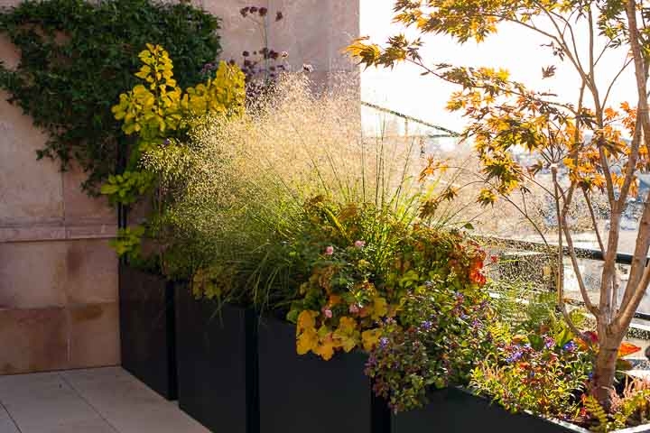 Opus Paysage-Paysagiste-Conception paysagère des terrasses du siège de Guerlain à Paris-Terrasse - photo 1