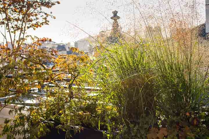 Opus Paysage-Paysagiste-Conception paysagère des terrasses du siège de Guerlain à Paris-Terrasse - photo 2