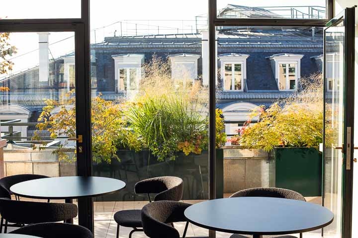 Opus Paysage-Paysagiste-Conception paysagère des terrasses du siège de Guerlain à Paris-Terrasse - photo 3