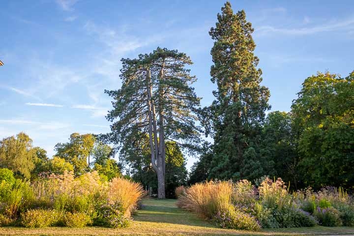 Opus Paysage-Paysagiste-Le jardin bouquetier-Jardin - photo 3