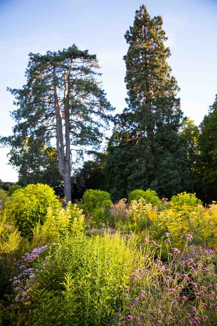 Opus Paysage-Paysagiste-Le jardin bouquetier-Jardin - photo 2