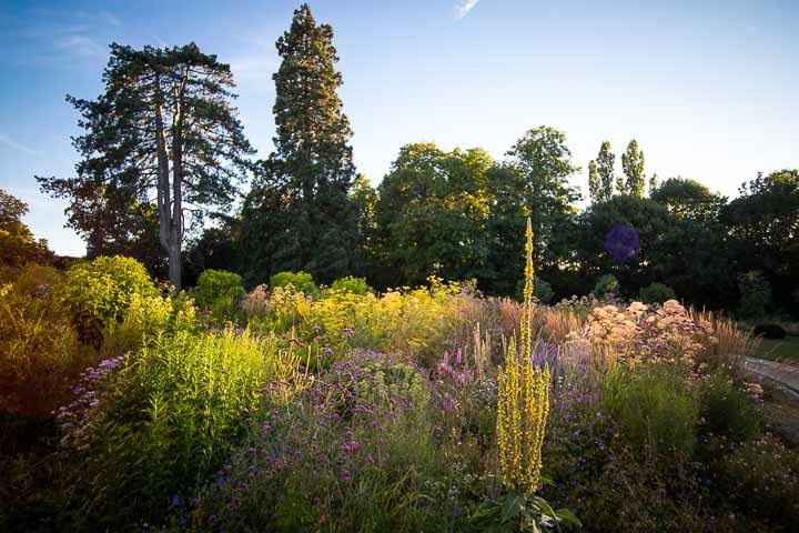 Opus Paysage-Paysagiste-Le jardin bouquetier-Jardin - photo 2