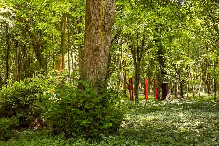 Opus Paysage-Paysagiste-Un jardin poétique, le jardin du bucheron-Jardin - photo 2