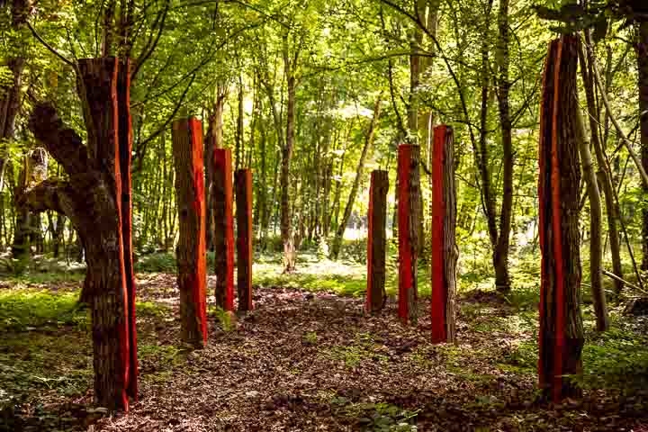 Opus Paysage-Paysagiste-Un jardin poétique, le jardin du bucheron-Jardin - photo 3