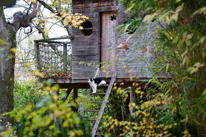 Opus Paysage-Paysagiste-Amenagement d'un jardin ecologique-Jardin - photo 1