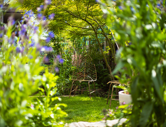 Opus Paysage-Paysagiste-Dans un jardin anglais