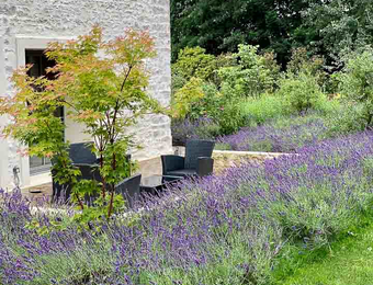 Jardins Intemporels-Paysagiste-Amenagement d'un jardin contemporain dans le Loiret