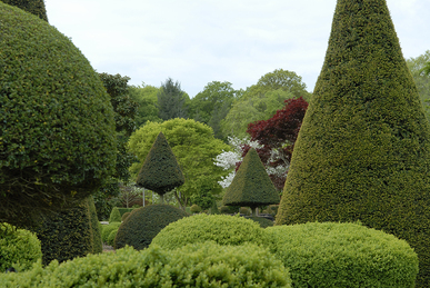 Domaine des Rochettes-Pépinièriste-Les topiaires