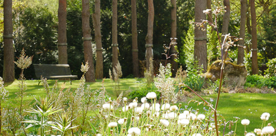 Opus Paysage-Paysagiste-Un jardin de paysagiste à Barbizon : le jardin des rochers