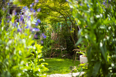 Opus Paysage-Paysagiste-Amenagement d'un petit jardin en ville