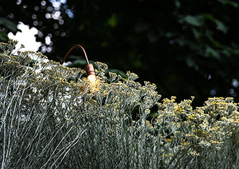 éclairage de jardin - jardin aménagé - Horticulture et Jardins - Arch & Home