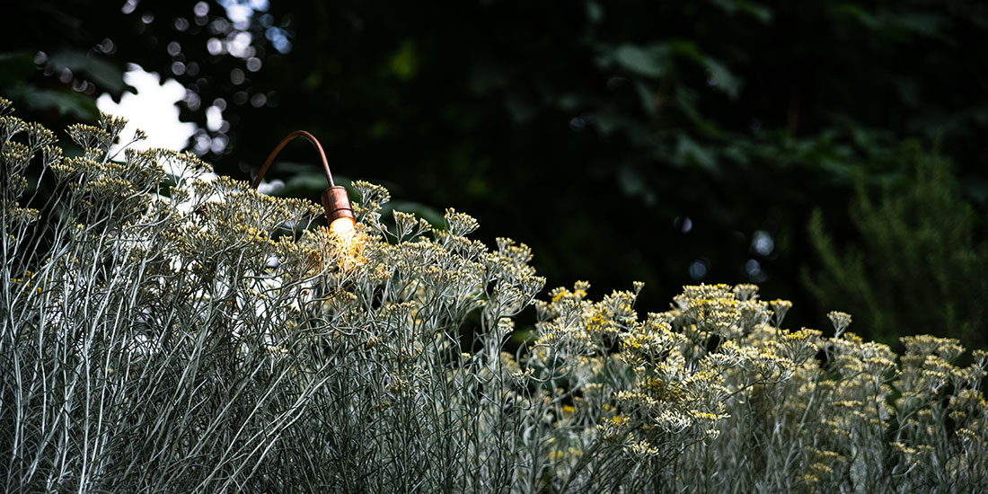 éclairage de jardin - jardin aménagé - Horticulture et Jardins - Arch & Home