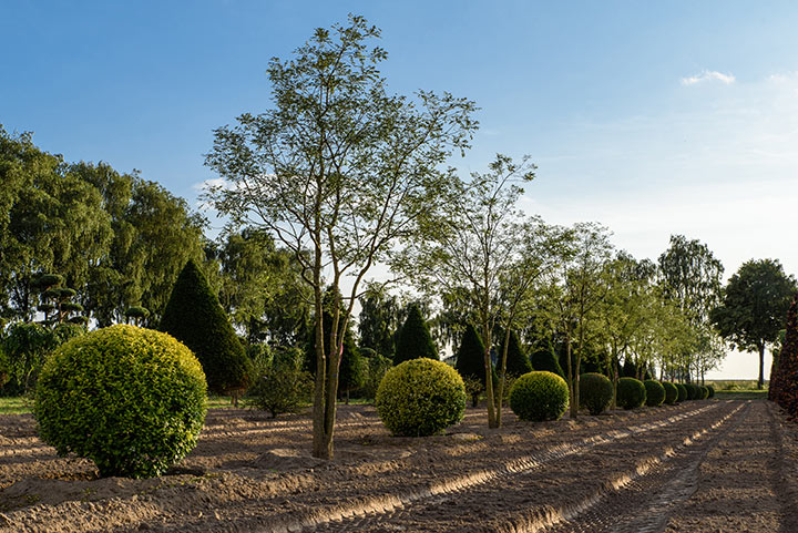 Décoration de jardin avec éléments architecturaux - Arch & Home