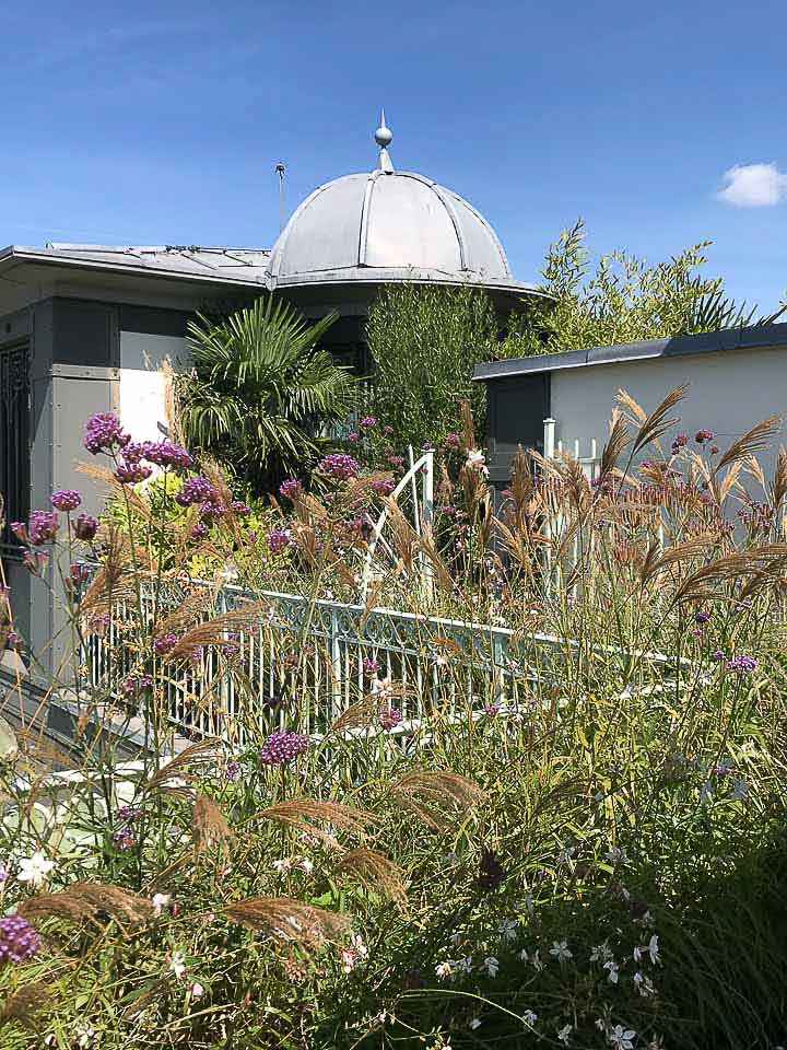 Toit Jardin Terrasse - Horticulture & Jardins - Arch & Home