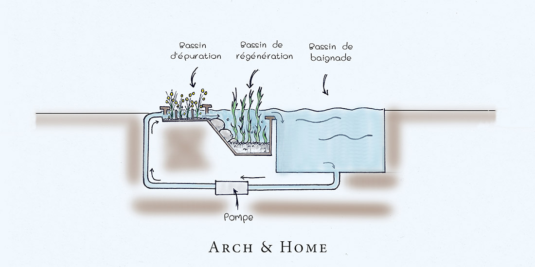 Schema filtration piscine biologique ou naturelle