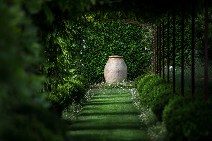 Geneviève Cabiaux-Paysagiste-Provence rêvée-Jardin - photo 1