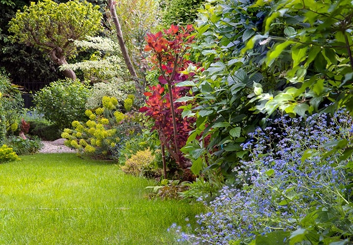 Opus Paysage-Paysagiste-Le jardin des quatre saisons-Jardin - photo 4